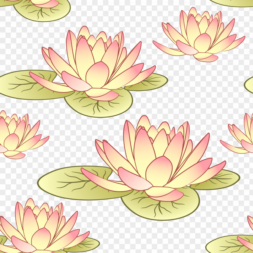Beautiful Lotus Background Download Computer File PNG