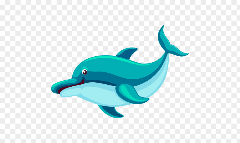 Cartoon Dolphins Shark Marine Life Aquatic Animal PNG