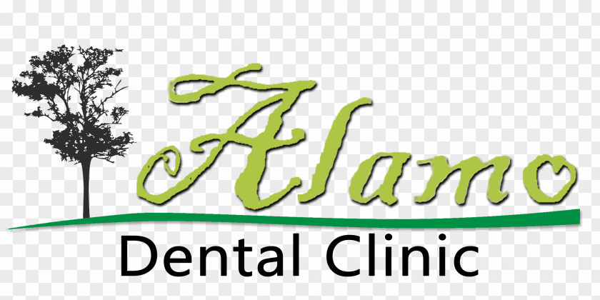 Dentist Clinic Tree Logo Brand Alamo Mission In San Antonio PNG