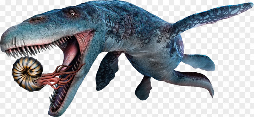 Dinosaur ARK: Survival Evolved Dakosaurus Reptile Mosasaurus PNG