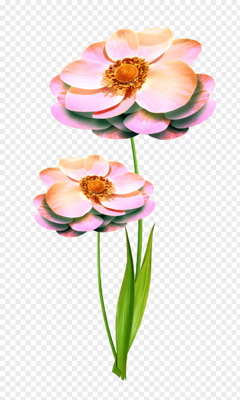 Flower Floral Design Cut Flowers Petal Bouquet PNG