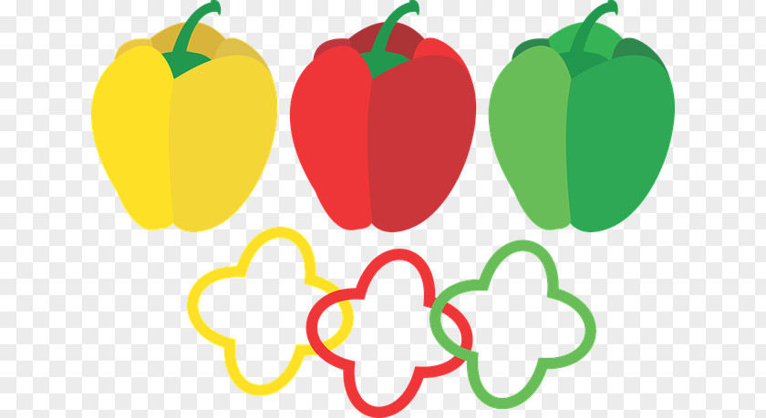 Food Bell Pepper Chili Paprika Vegetable PNG