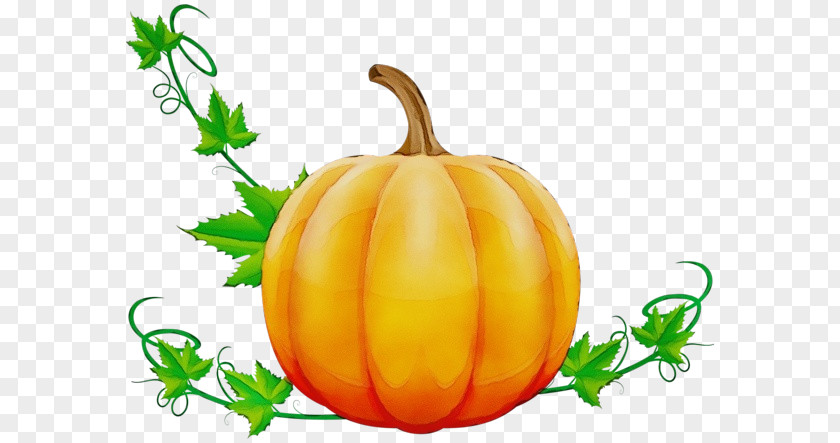 Pumpkin PNG