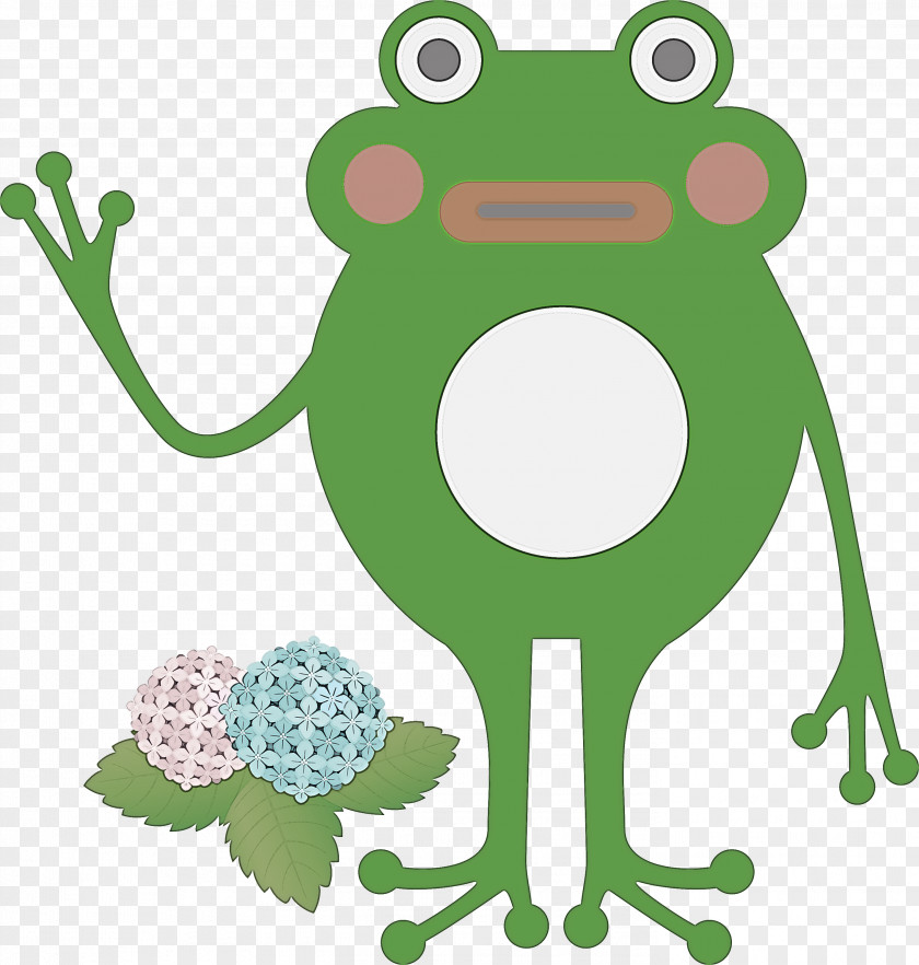 Toad Frogs Tree Frog Cartoon Green PNG