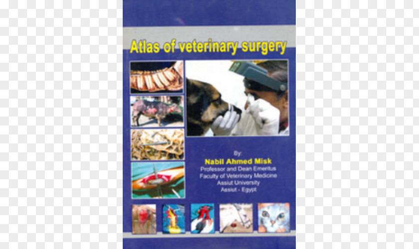 Abbeycroft Veterinary Surgery Medicine Musk Abjad PNG