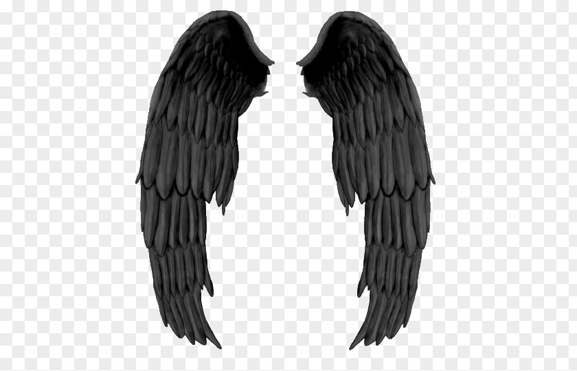 Ali Fallen Angel Drawing Darkness PNG