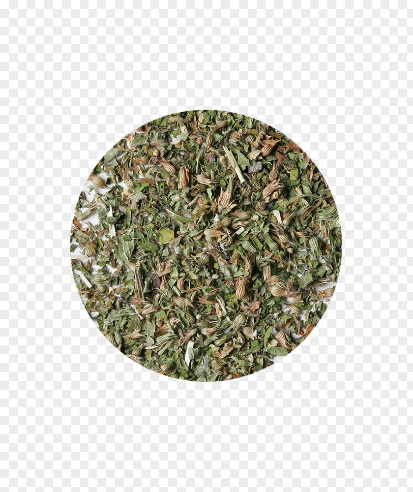 Chamomile Leaves Spice Herb Military Camouflage Soup Cyst PNG