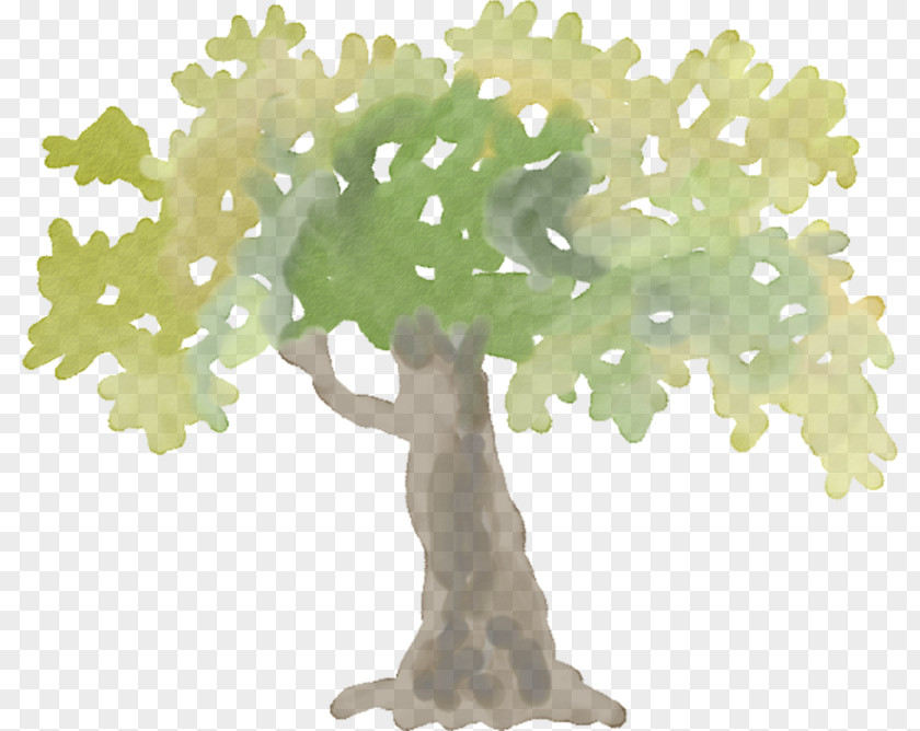 Hand-painted Tree Houseplant PNG