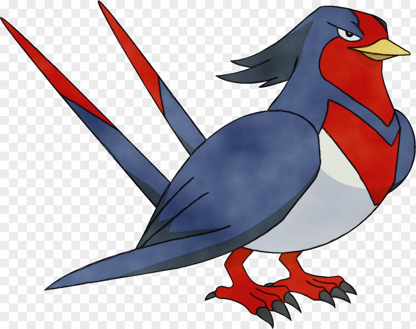 Songbird Perching Bird Ash Ketchum PNG