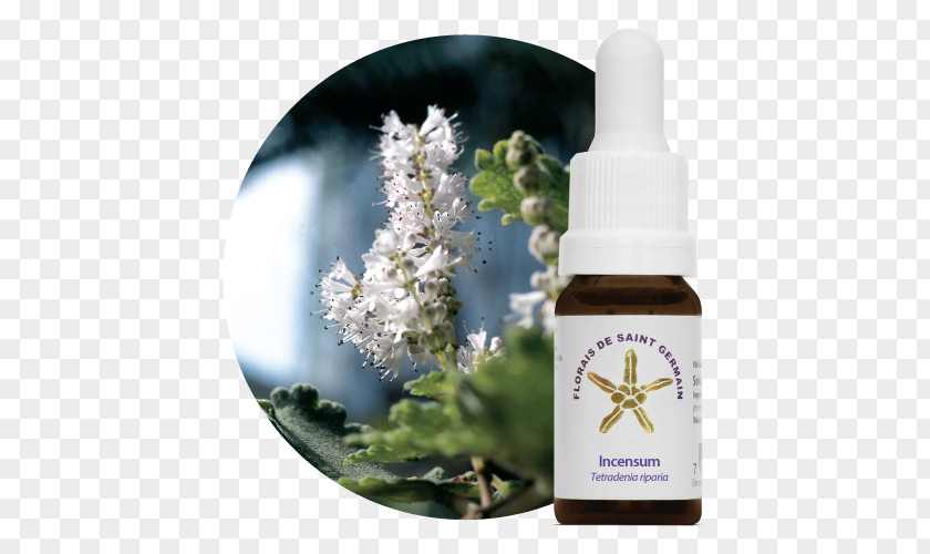 Health Bach Flower Remedies Natupoint Estoque PNG