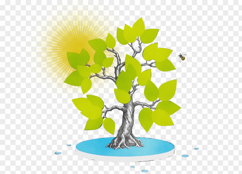 Houseplant Meter Tree Computer Branching PNG