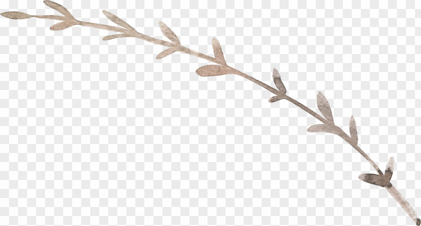 Leaf Twig Plant Stem Antler Line PNG