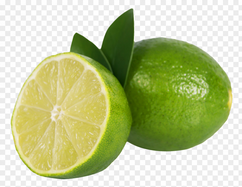 Lime Lemon Key PNG