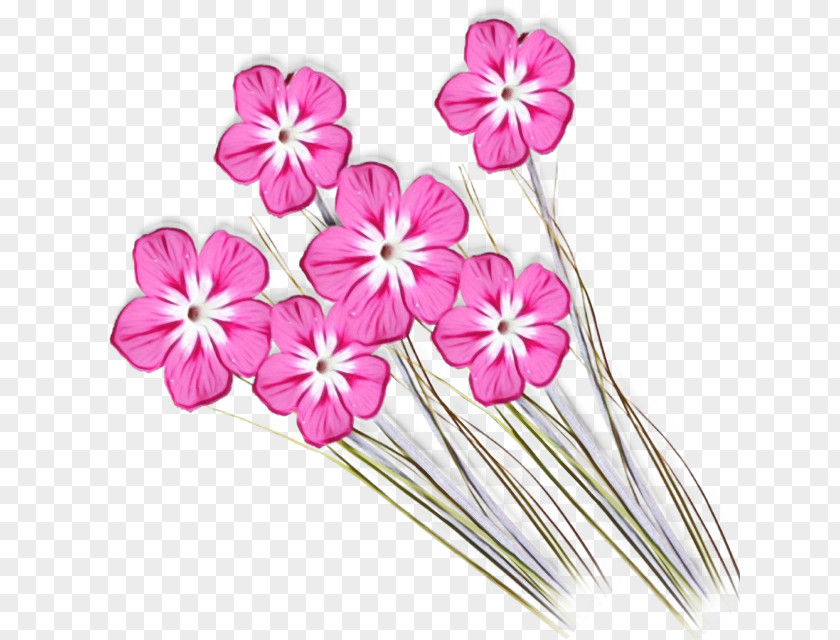 Plant Stem Pedicel Pink Flower Petal Flowering PNG