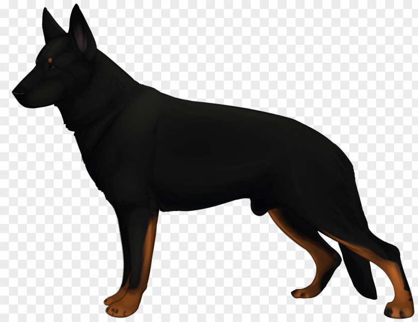 Prey Drive Ormskirk Terrier English Toy German Pinscher Manchester Australian Kelpie PNG