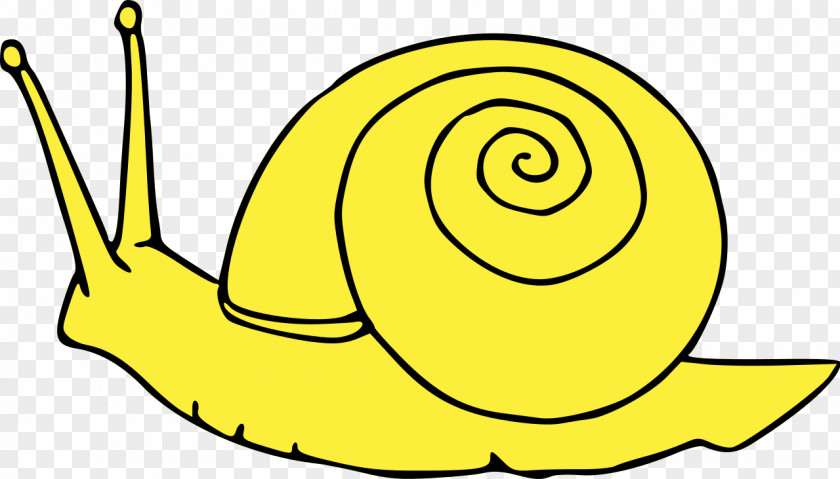 Snail Escargot Clip Art PNG