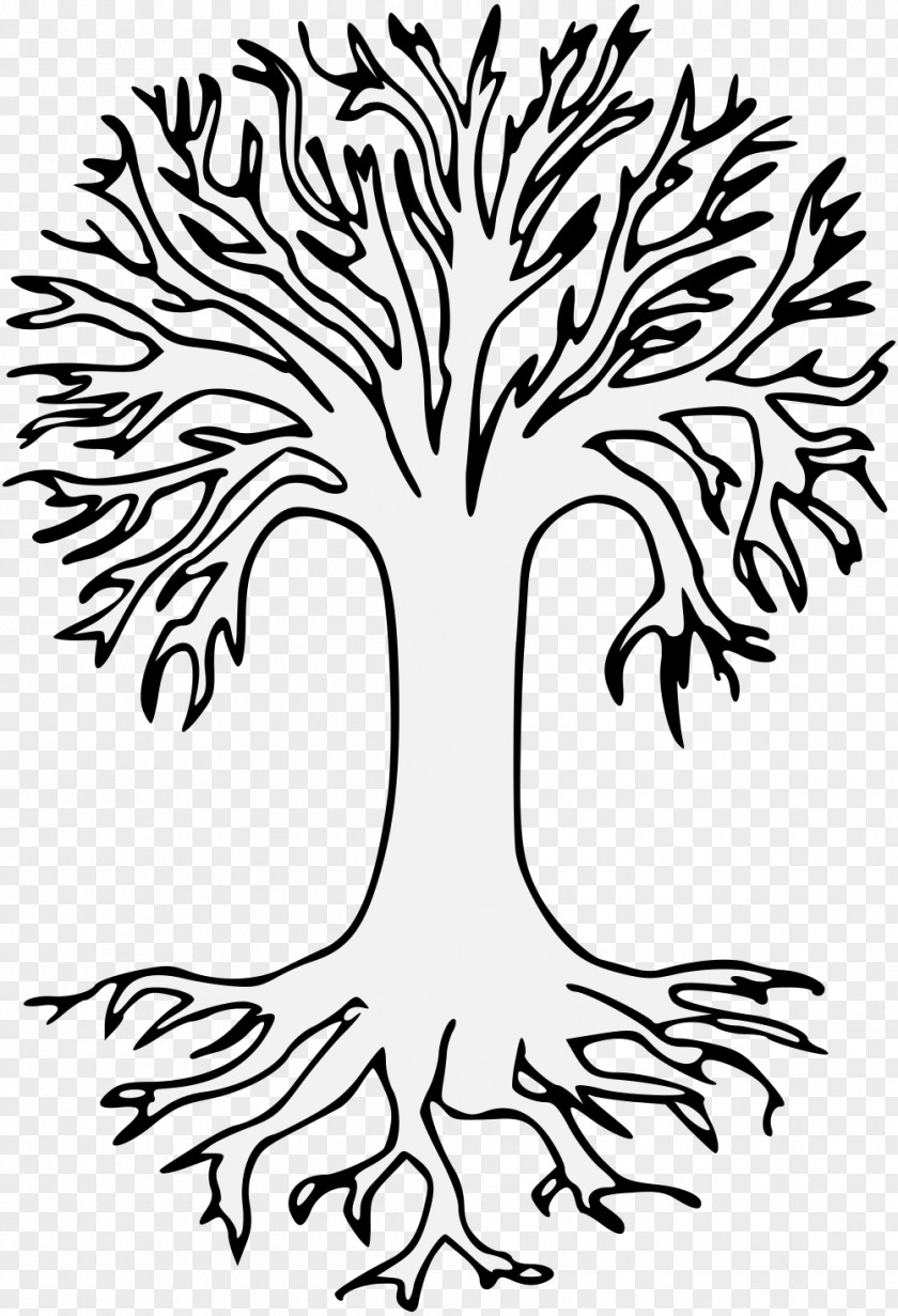 Tree Branch Root Oak Image PNG