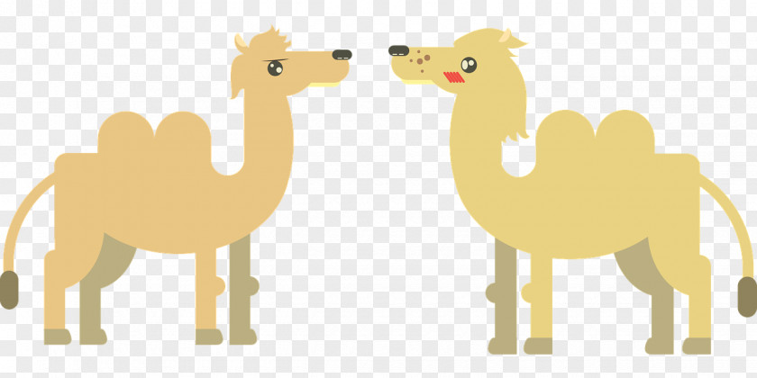 Yellow Camel Dromedary Desert PNG