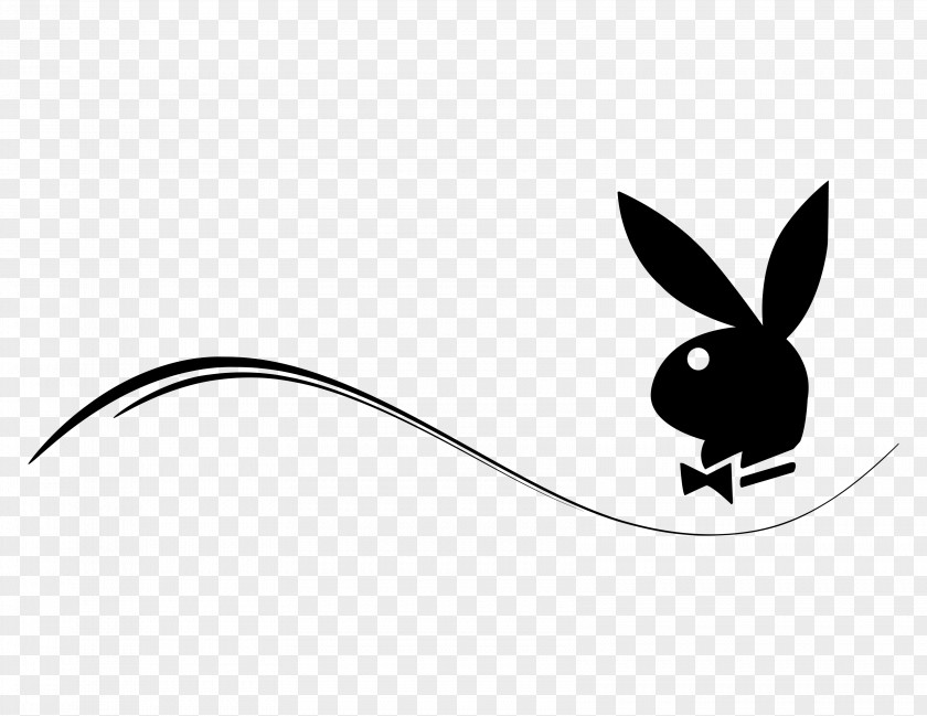 Condom Domestic Rabbit Hare News Media Clip Art PNG