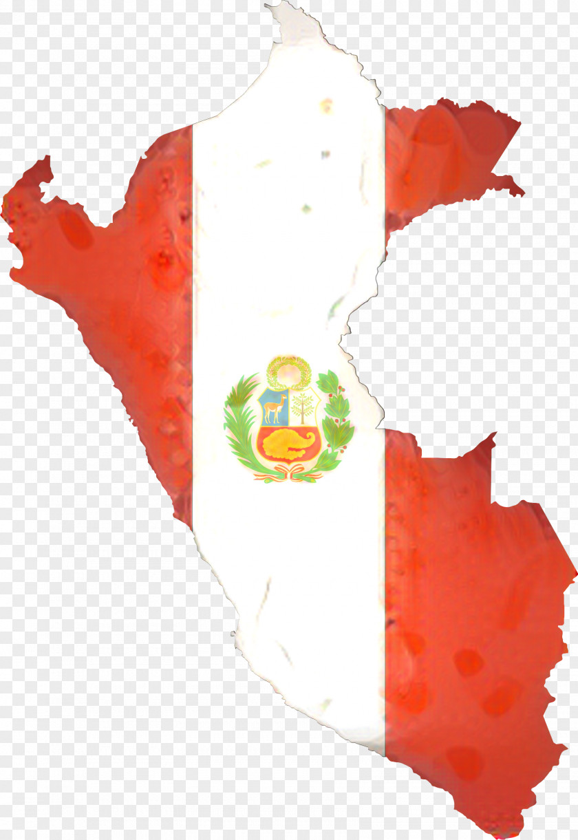 Country Flag Cartoon PNG