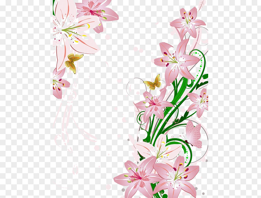 Lily Background Flower PNG