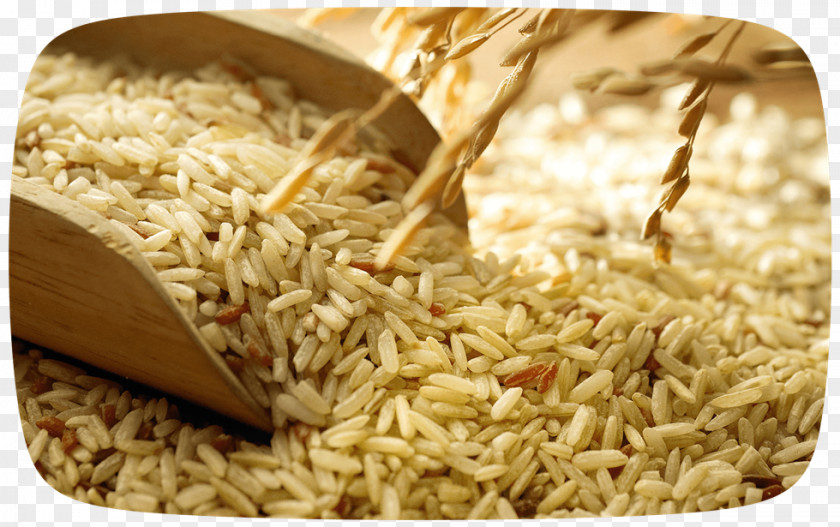 Rice Bran Oil Cereal Food PNG