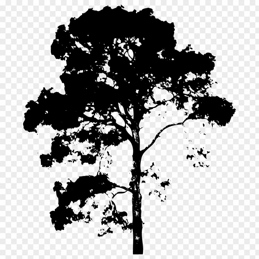 Vector Trees Branch Tree Drawing PNG