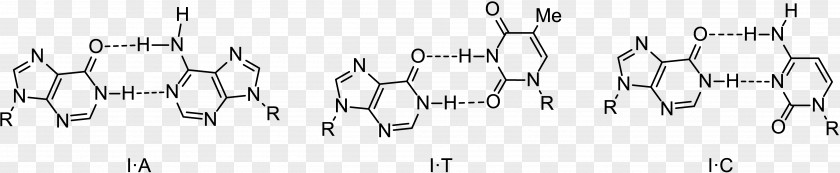 Wobble Base Pair Inosine Cytosine PNG