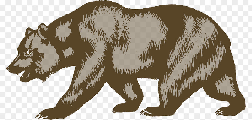 Bear Brown California Republic Flag Of Grizzly PNG