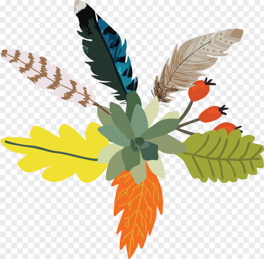 Feathers Floral Decoration Flower Design Designer PNG