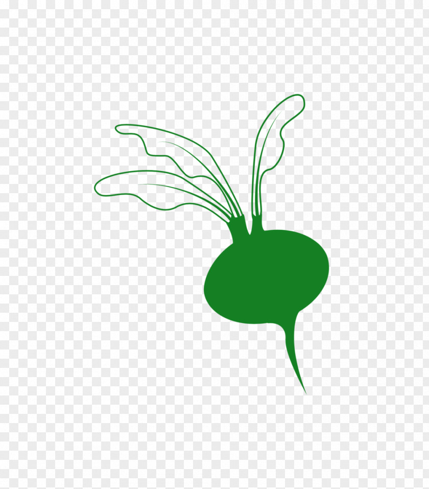 Nourishing Symbol Clip Art Logo Fruit Leaf Plant Stem PNG