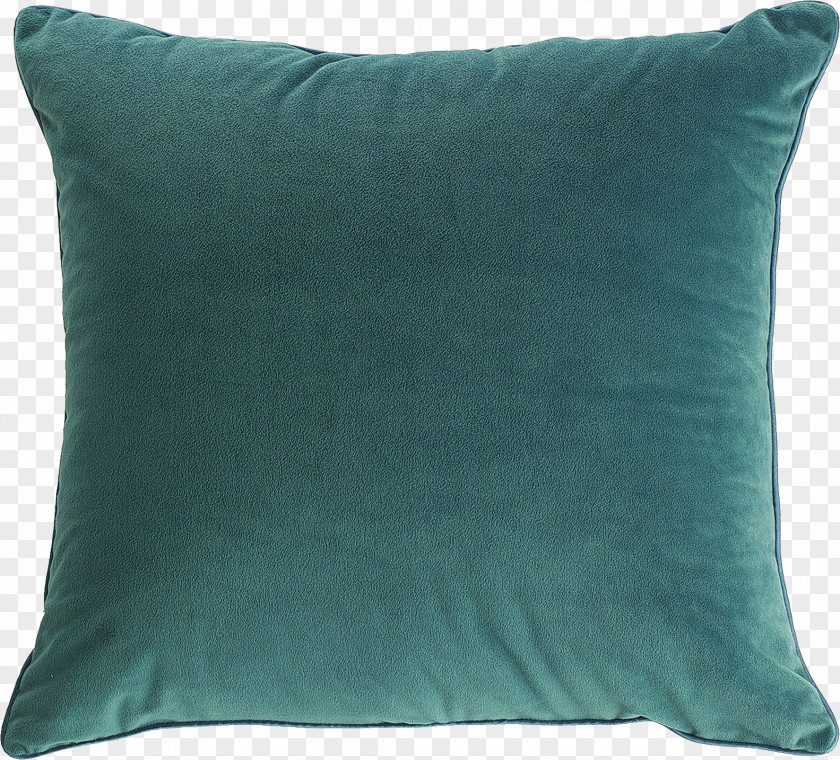 Pillow Throw Down Feather Couch PNG