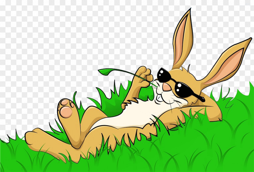 The Rabbit Rested In Weeds Easter Bunny Stock Photography Illustration PNG