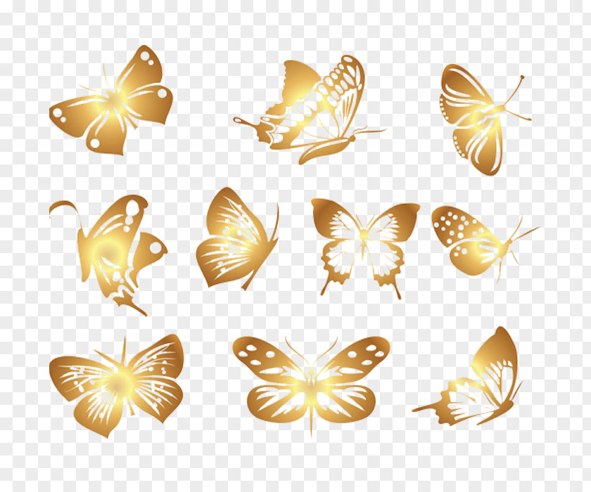 Beautiful Butterfly Euclidean Vector Clip Art PNG