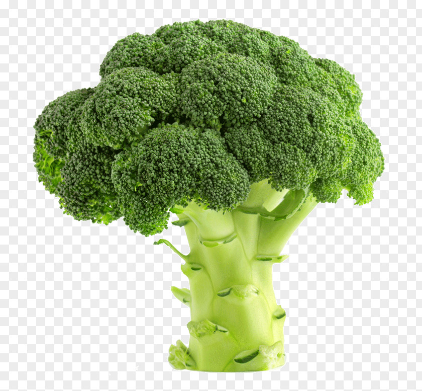 Broccoli Nutrient Plant-based Diet Soil Sand PNG