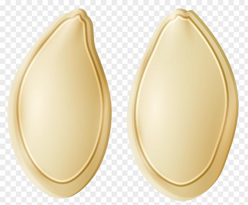 Seeds Earring Clothing Accessories Jewellery PNG
