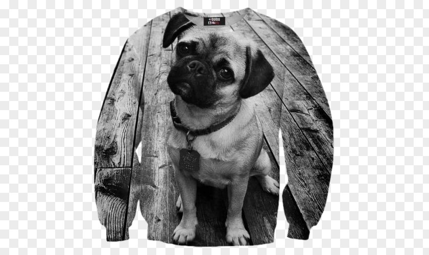 T-shirt Pug Puppy Cat Sweater PNG