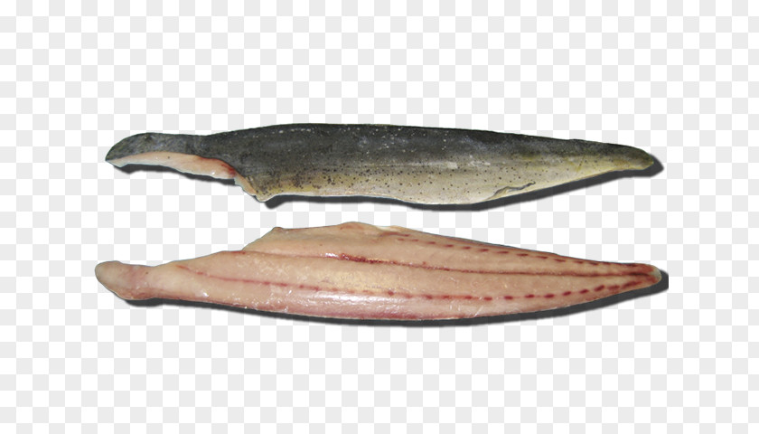 Mahi-mahi Salmon Fish Products 09777 Oily Capelin PNG