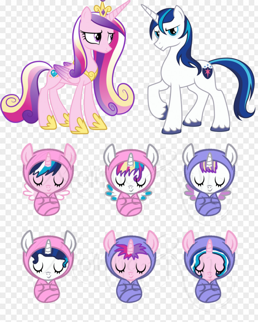 My Little Pony Twilight Sparkle Princess Cadance Foal Rainbow Dash PNG