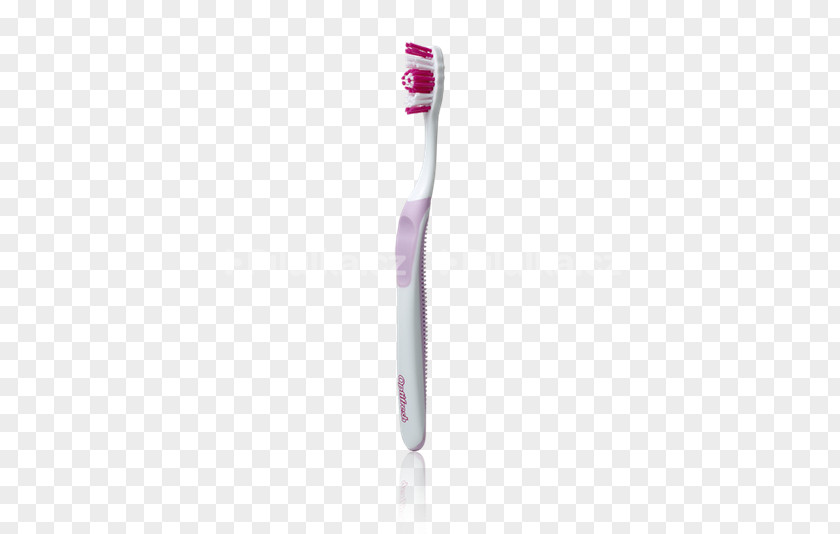 Toothbrush Paintbrush Oriflame Bristle PNG