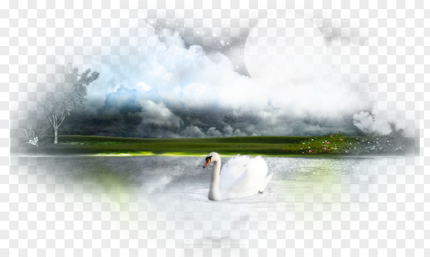 Water Resources Nature Desktop Wallpaper Inlet PNG