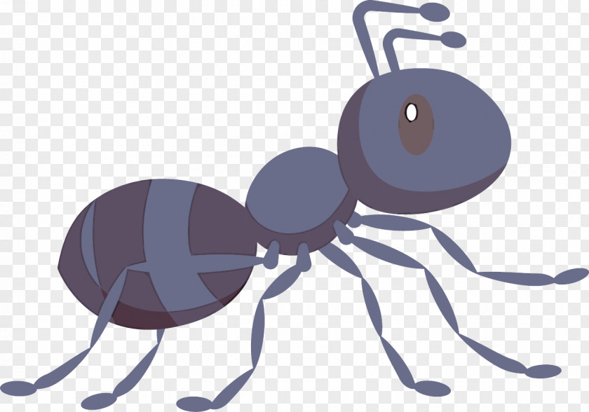 Ant Insect Cartoon Pest Membrane-winged PNG