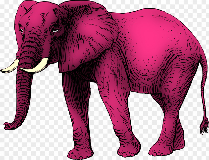 Elephant African Asian Clip Art Vector Graphics PNG
