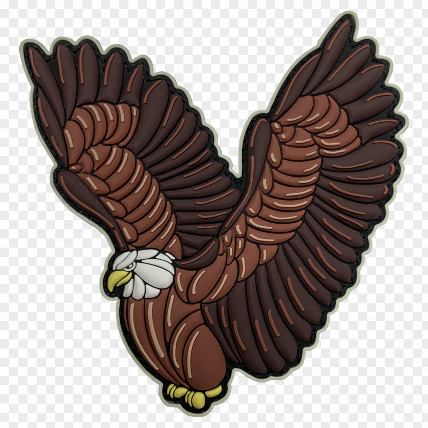 Falconiformes Redtailed Hawk Eagle Bird PNG