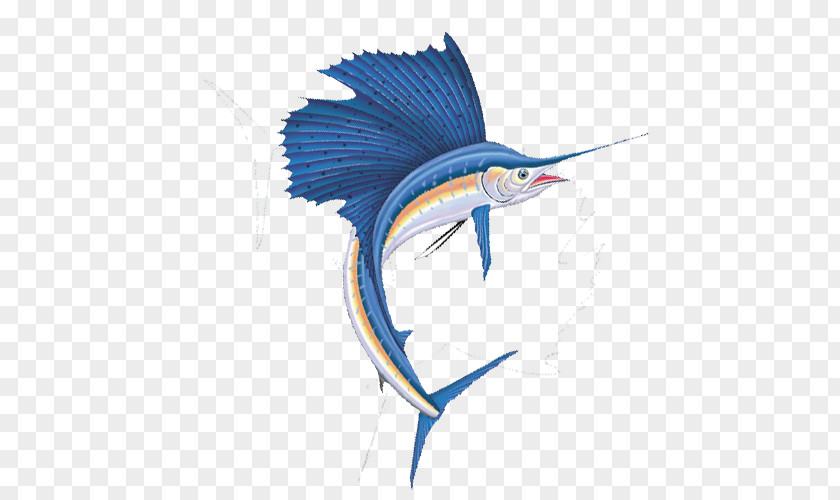 Fish Marlin Cartoon PNG
