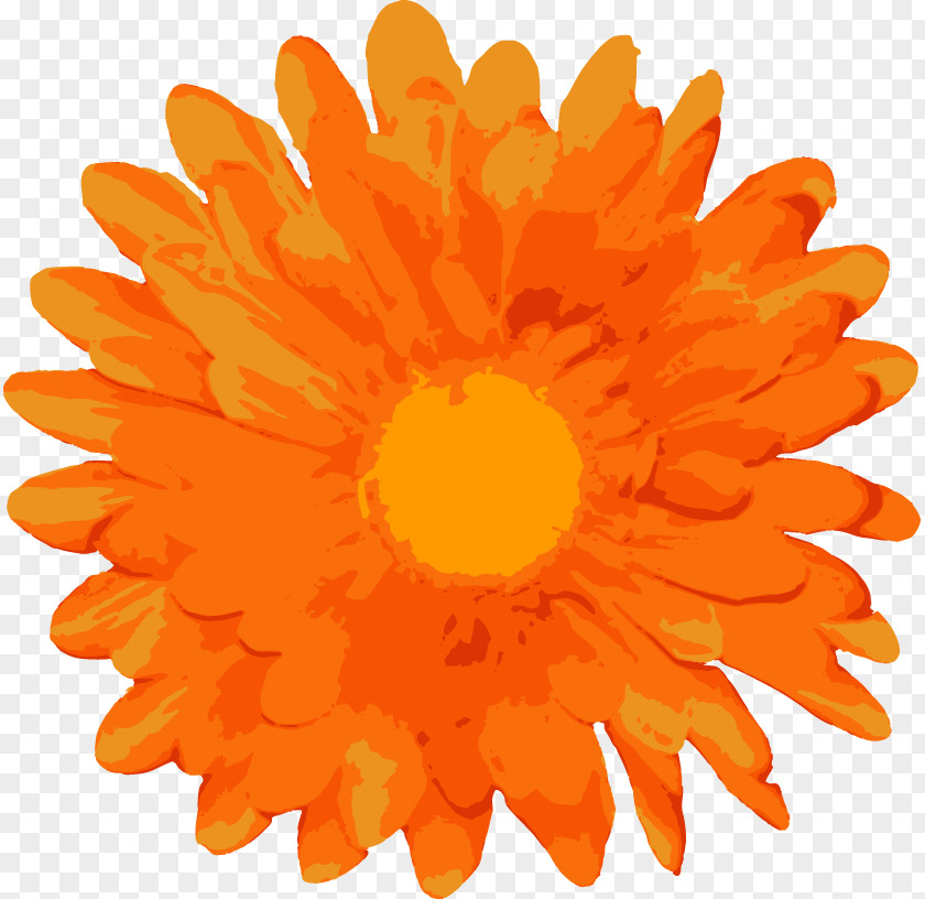 Free Vector Flowers Flower Euclidean Clip Art PNG
