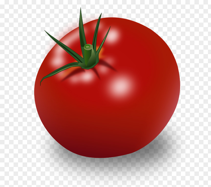 Verdura Cherry Tomato Vegetable Food Fruit Clip Art PNG