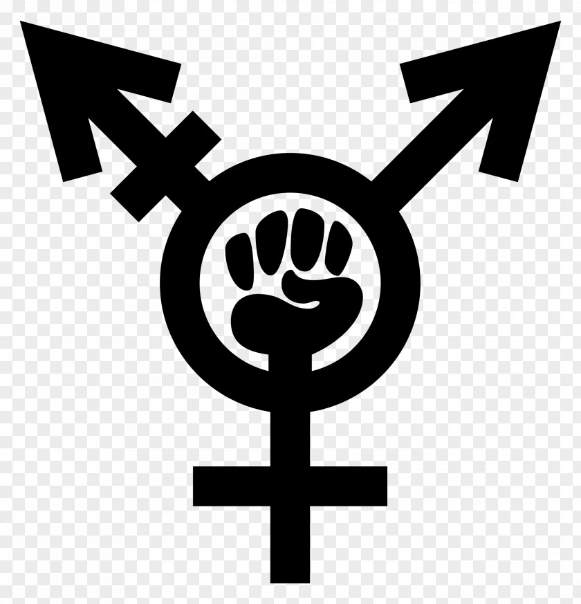 Woman Socialist Feminism Sticker Antifeminism PNG