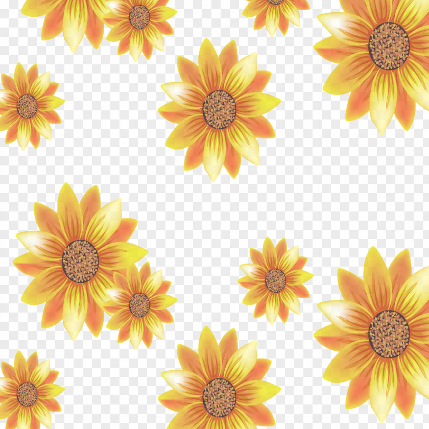 Yellow Sunflower Common PNG