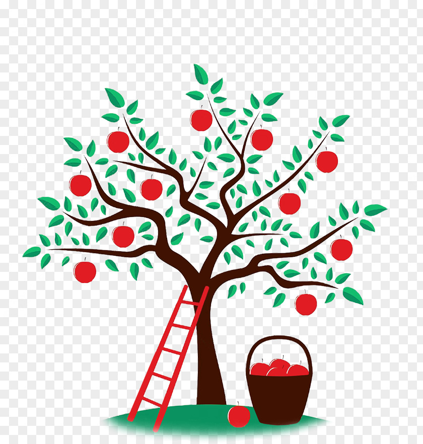 Apple Drawing Orchard Clip Art PNG